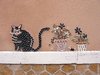 Quartier de l'�le Penotte - Les Sables d'Olonne