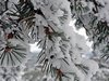 Le Pilat en hiver