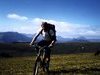 VTT