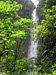 Chute d'eau en Guadeloupe