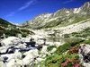 Rivi�re de montagne - Font Romeu
