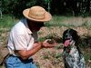 Chien truffier - P&eacute;rigord
