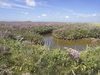 Lilas de mer - Baie de Somme