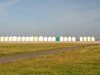 Littoral picard - Somme
