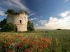Vieux moulin - Somme