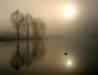 La Somme dans le brouillard