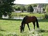 Vall�e de la Bresle - Normandie