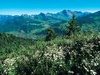 Vue du village depuis le Danay - Le Grand Bornand