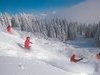 Ski en poudreuse
