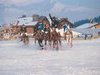 Match de Polo sur neige