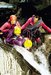 Canyoning - Les M�nuires et Saint-Martin de Belleville
