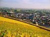 Saint-F�lix Lauragais - Haute-Garonne