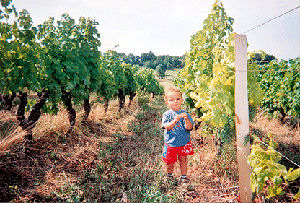Bed & Breakfast Les 3 Vignobles