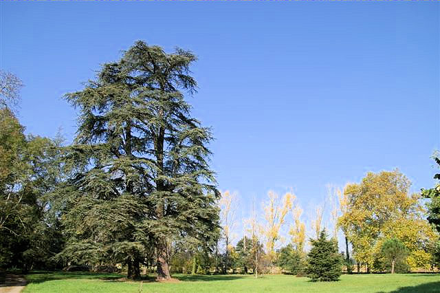 Bed & Breakfast Domaine de Lalande