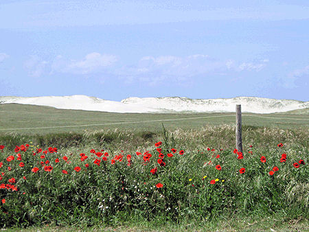 Gite G&icirc;te de Kerdu - Pointe de la Torche
