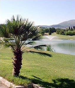 Domaine de l'Albatros Mouans Sartoux