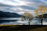 Ecosse