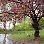 Square des Batignolles