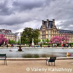 Jardin des Tuileries