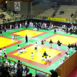 Institut du Judo