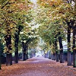 Bois de Boulogne