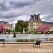 Jardin des Tuileries - Paris 1