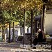 Cimeti�re du Montparnasse - Paris 14