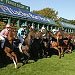 Hippodrome de Longchamp - Paris 16