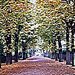 Bois de Boulogne - Paris 16