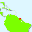 Guyane