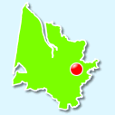 Blasimon