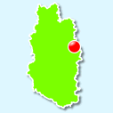 Pareid
