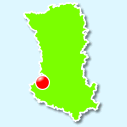 Coulon