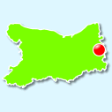 Firfol
