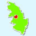 Cauro