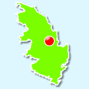 Tasso