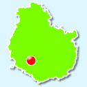 Maconge
