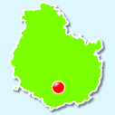 Arcenant
