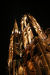 Cath�drale Notre Dame de l'Assomption