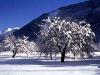 Allemont - &copy; Office de Tourisme Allemont