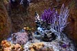 Aquarium de La Rochelle - &copy; Aur&eacute;lien FOREST