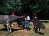 Zoo de Branf�r� - Bretagne