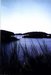 Lac de Lastioulles - Tr�mouille