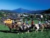 Randonn&eacute;e &agrave; cheval - Les Carroz - &copy; OT Les Carroz