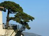 Sainte-Agn�s - C�te d'Azur