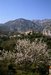 Gorbio - C&ocirc;te d'Azur - &copy; Michel M&eacute;gret