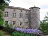 Ch&acirc;teau de Vog&uuml;&eacute; - &copy; Association Vivante Ard&egrave;che