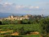 Citadelle royale cathare