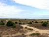 Dunes - &copy; Jean-Louis Desouche