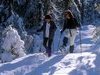 Promenade en raquettes - La Feclaz